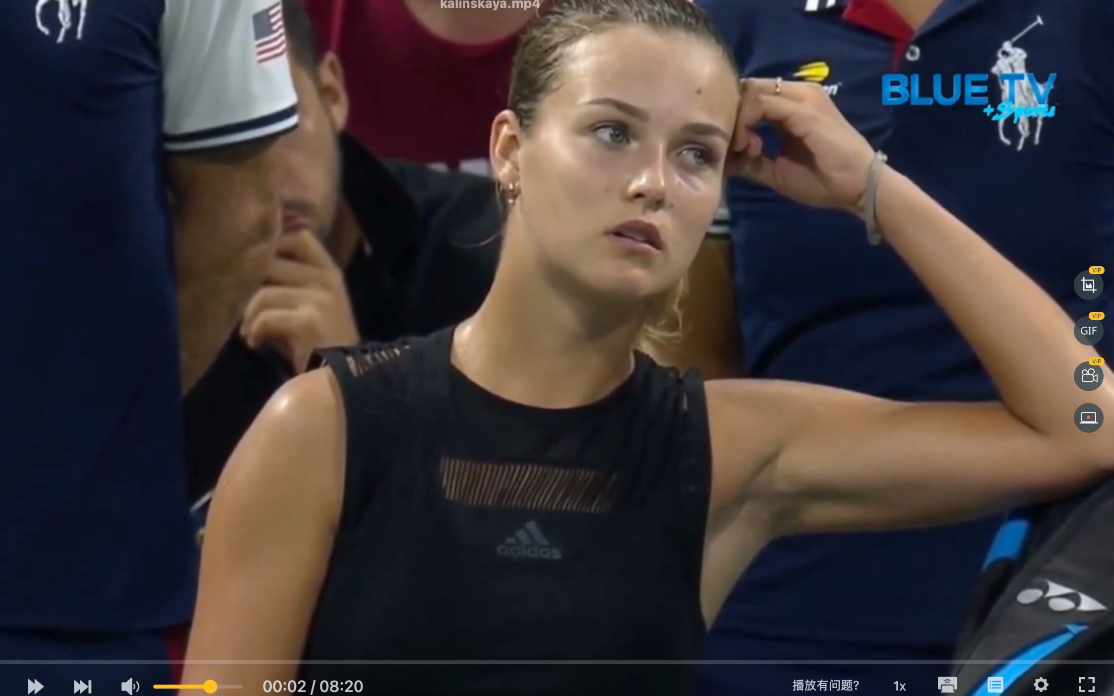 借方式引进 借方式引进